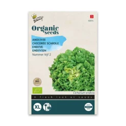 Økologisk Endiviesalat frø, Vijf 2