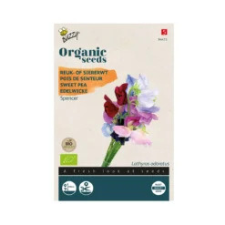 Økologiske ærteblomster – Spencer blanding, frø
