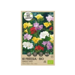 Økologisk Fresia, Single Mix - 10 løg