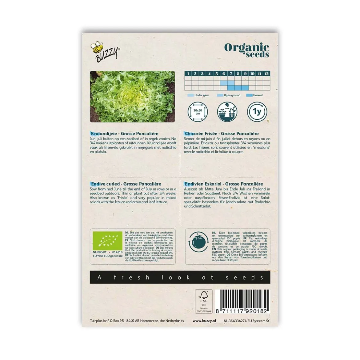 Økologisk Frisée salat frø, Grosse Pancali