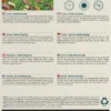 Økologisk Frøkenhat frø "Dahlia Flowered"