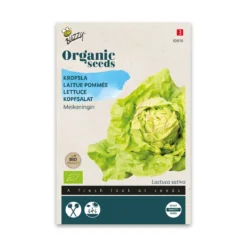 Økologisk Hovedsalat frø, May Queen