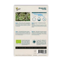 Økologisk Hovedsalat frø, Merveille des 4 saisons