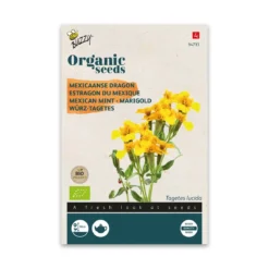 Økologisk Lakridstagetes frø "Marigold"