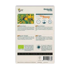 Økologisk Lakridstagetes frø "Marigold"