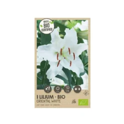 Økologisk Lilje, Oriental White - 1 løg