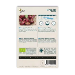 Økologisk Rødbede frø, Turnip Egyptian