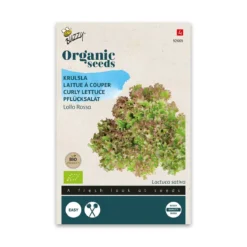 Økologisk Salat frø, Lollo Rossa