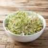 Økologisk salatmix spirer frø - 250 g