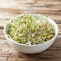 Økologisk salatmix spirer frø - 250 g