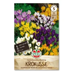 Krokus 'Botanisk Blanding'