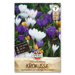Krokus 'Havekrokus Mix'