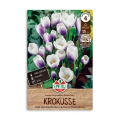 Krokusløg, Vild krokus Prins Claus - 10 løg