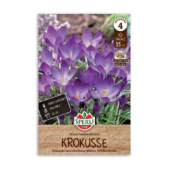 Krokusløg, Vild krokus tommasinianus - 15 løg