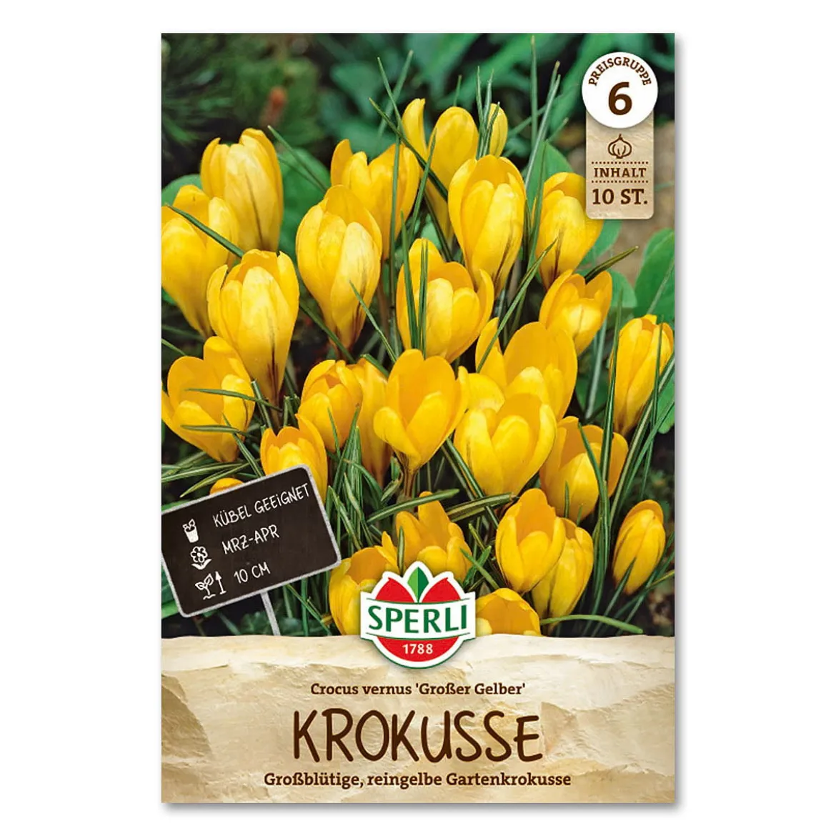 Krokus 'Store Gule'