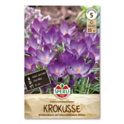 Krokus 'Tommasinianus'