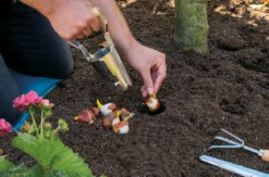 Løgjern i rustfrit stål