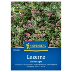 Lucerne frø - 25 m2