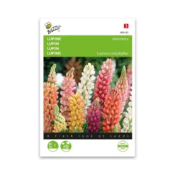 Lupin dværg blanding frø "Minarette" - Buzzy