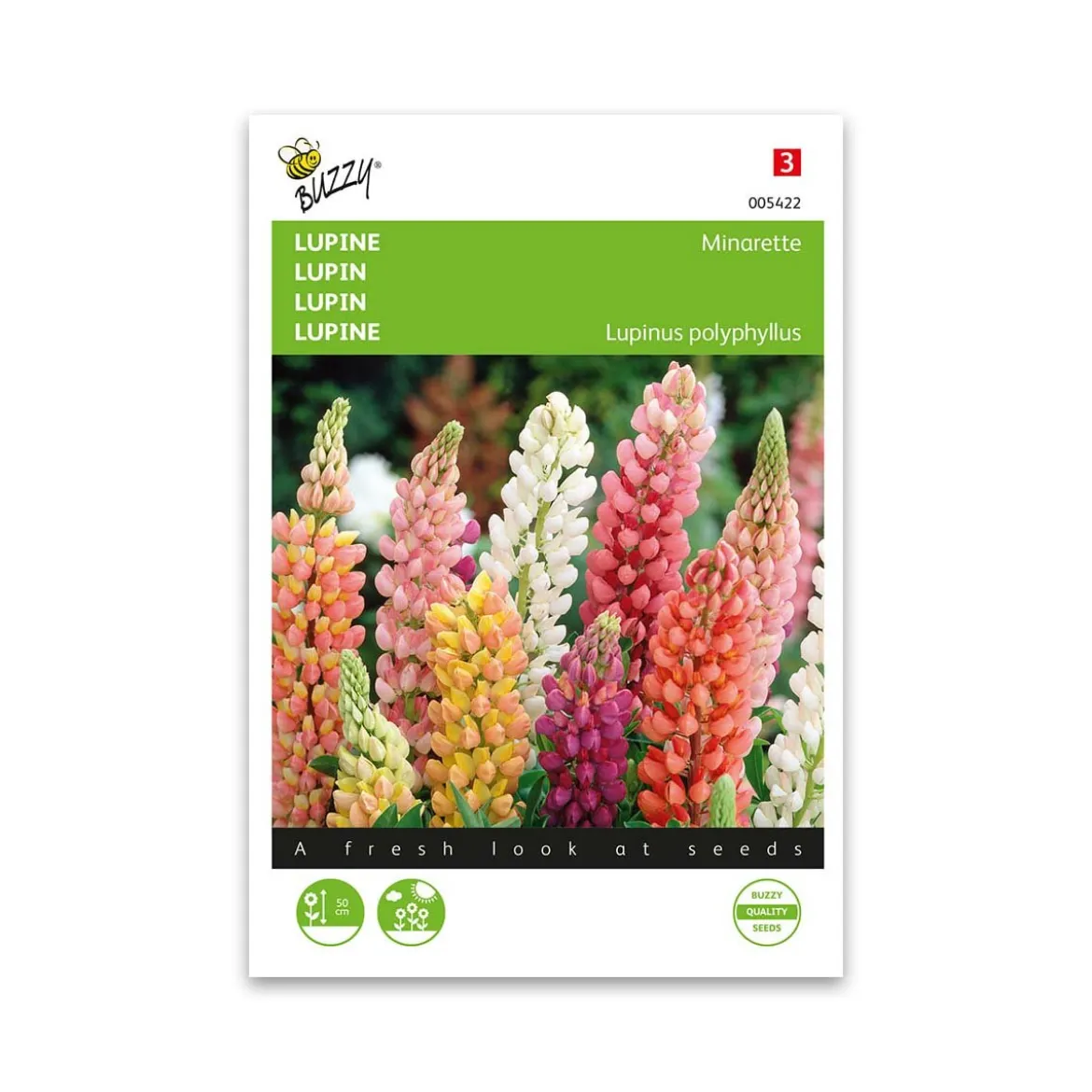 Lupin dværg blanding frø "Minarette" - Buzzy