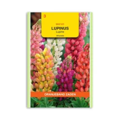 Lupin frø "Minarette mix" - Oranjeband