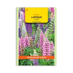 Lupin frø " Russell's hybrids mix" - Oranjeband