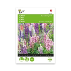 Lupin frø "Russell’s hybrids mix" - Buzzy