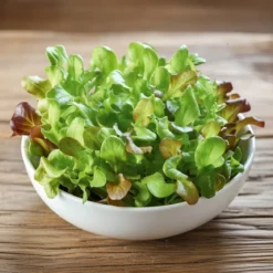 Mikrogrønt Salat mix frø