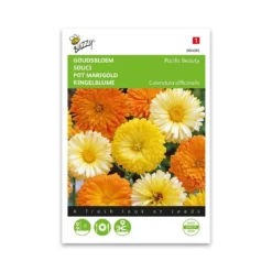 Morgenfrue frø mix "Pacific Beauty double mixed" - Buzzy