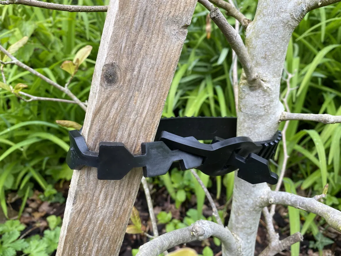 Opbindingsrem 30 cm