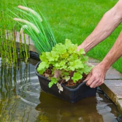 Oval kurv til vandplanter - 15 x 40 x 24 cm