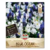 Perlehyacint & Anemone 'Blue Ocean'