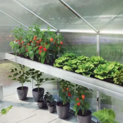 Plantebakke - Aptasia III-s