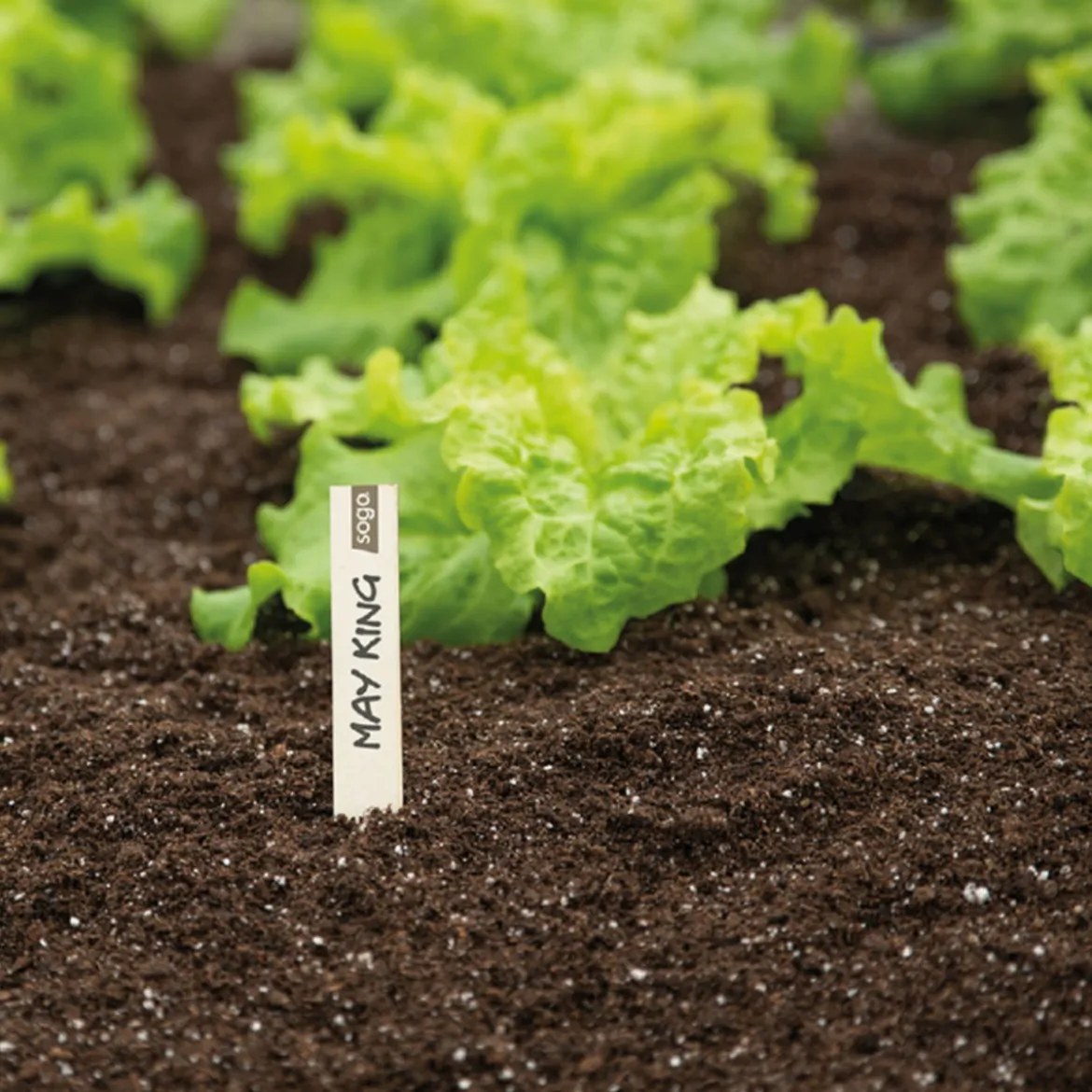 Plantepinde til blomster og grøntsager, 15 cm - 24 stk