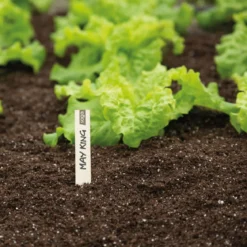 Plantepinde til blomster og grøntsager, 10 cm - 24 stk