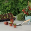 Plantepotte i plast Ø6 cm - 30 stk.