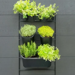 Plantevæg