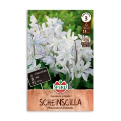 Porcelænshyacint, Puschkinia scilloides - 15 løg