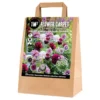 Pose med blandede blomsterløg, Fantasy flowers - 1 m2