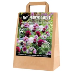 Pose med blandede blomsterløg, Fantasy flowers - 1 m2