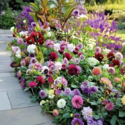 Pose med blandede blomsterløg, Fantasy flowers - 1 m2