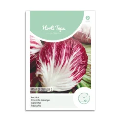 Radicchio frø "Rossa Di Chioggia 3"
