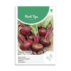 Rødbede frø "Egyptian Turnip"