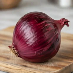Rødløg frø, Noordhollandse Blood Red