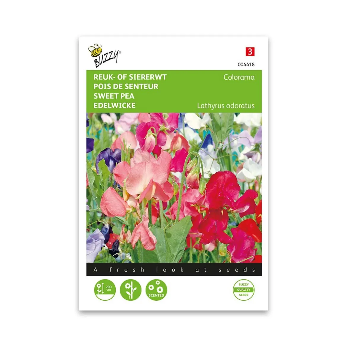 Ærteblomst frø, Colorama - mix
