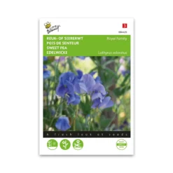Ærteblomst frø, Royal Family Blue