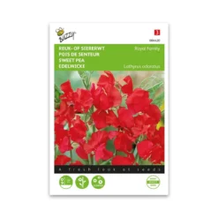 Ærteblomst frø,Royal Family red