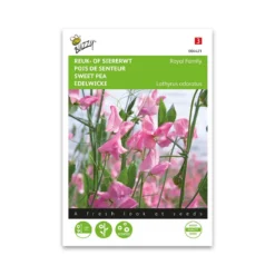 Ærteblomst frø, Royal Scarlet pink