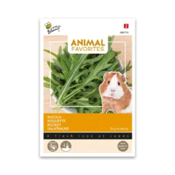 Rucola - frø til dyrefoder