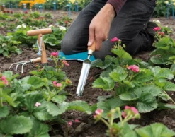Smal plantespade
